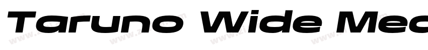 Taruno Wide Med字体转换